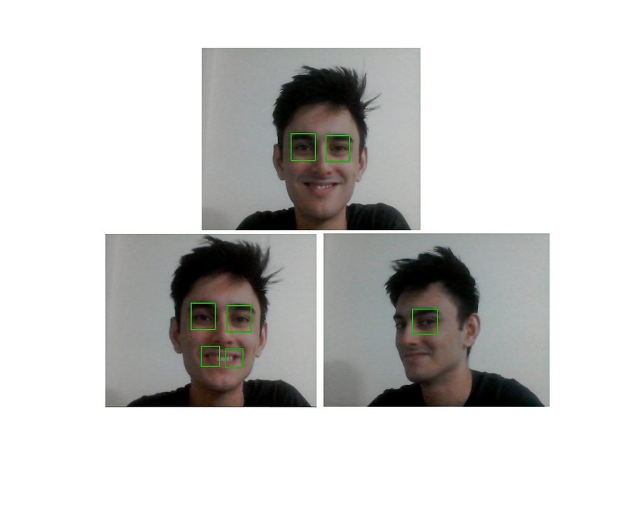 Face Detection Image